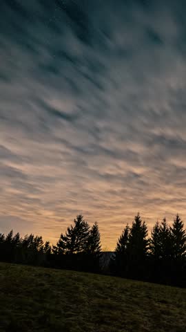 Stars and Clouds over Forest Nature, Vertical Astronomy Time Lapse