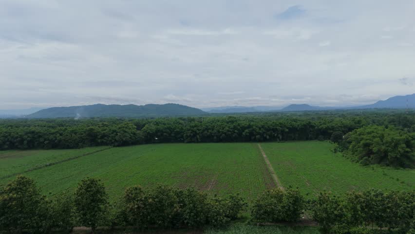 An expansive aerial panorama of a rural Indonesian landscape, featuring green farmland and forests bordered by scattered villages, with distant mountains under a dramatic, cloudy sky.