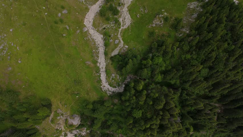 Dramatic top-down aerial tilt from forest edge over dry torrent channels to rocky Doamnele cliffs above Valea Gaura in the Bucegi Mountains, Romania