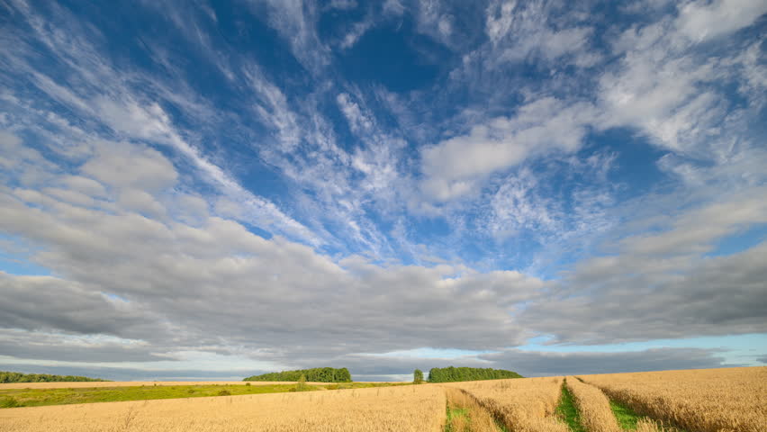 Vast sky landscape, Bright plains beneath azure horizon, Faraway woods with detailed crop designs shimmer, Gentle twilight illuminates undulating wheat and scattered clouds above