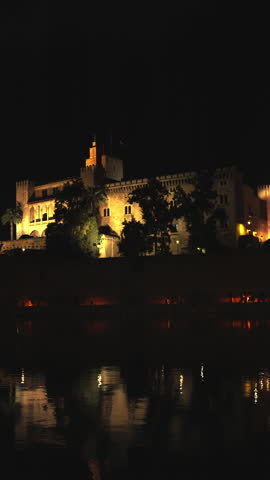Majestic Cathedral of Santa Maria of Palma and the Royal Palace of La Almudaina beautifully illuminated at night, with their golden lights reflecting on the calm water of the Parc de la Mar