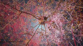 3D visualization of human neurons and neural network connections, illustrating brain activity, neuroscience, and cognitive science concepts. - Powered by Shutterstock - Get 15% off with code: PIKWIZARD15