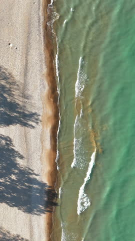 Top-down aerial view of Lake Michigan shoreline with gentle waves on a sunny day, Crystal-clear water and sandy beach captured from above, with soft waves lapping the shoreline.