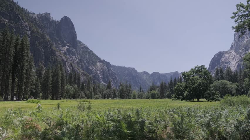 Yosemite Valley Meadow with Mountain Cliffs and Pine Trees
A wide view of Yosemite Valley featuring an open meadow with tall grasses and ferns, framed by steep granite cliffs and dense pine trees.