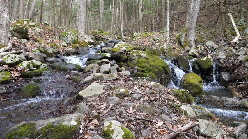 Grafton 0217 Barberville Falls Poestenkill New York