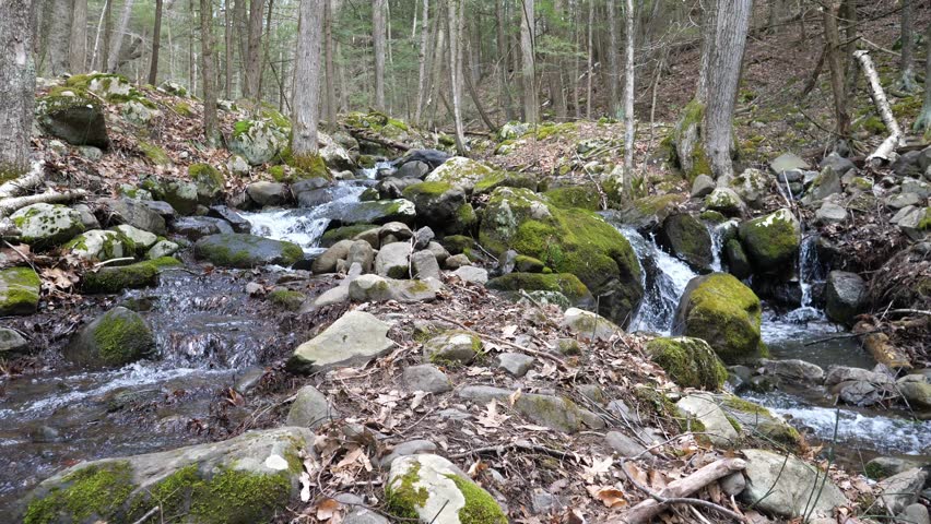 Grafton 0224 Barberville Falls Poestenkill New York
