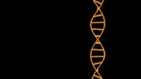 2D animation of DNA composed of particles on a black background. 60FPS. The object is vertical. The subject is on the right 4k - Powered by Shutterstock - Get 15% off with code: PIKWIZARD15