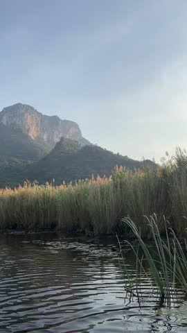Traveling along the marsh via boat