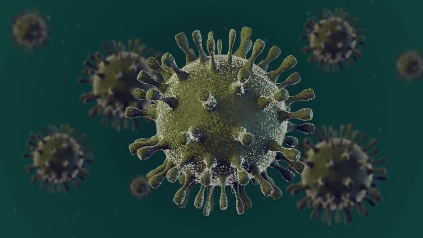 3D animation of cells, bacteria, and H1N1 virus particles, illustrating microbiology, infectious diseases, healthcare, and medical research concepts. - Powered by Shutterstock - Get 15% off with code: PIKWIZARD15