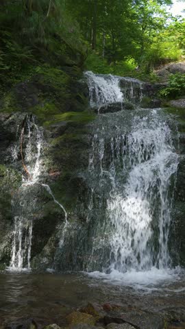 Small Waterfall in Forest Stream, Peaceful Vertical Nature