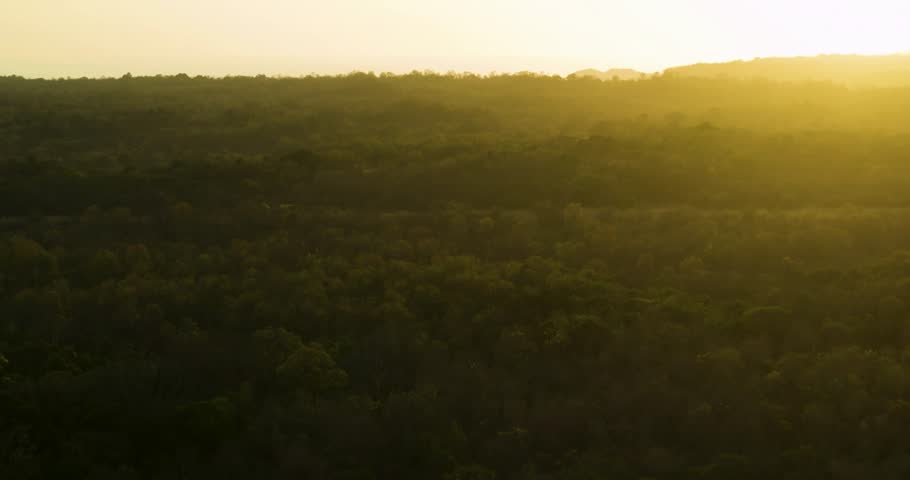 Goldenhour, trees, vegetation, drone, sunlight, forest, nature, greenery, treeline, aerial, outdoors, landscape, scenic, natural, environment, foliage.