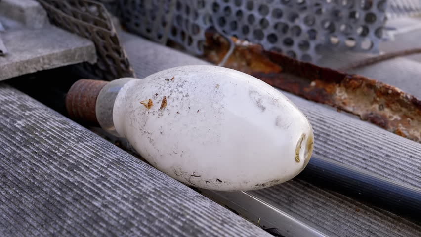 Two dusty, discarded incandescent light bulbs lie on a rusty metal surface, illustrating obsolescence and waste. This close-up shot highlights the bulbs