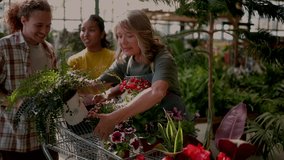 Experienced female florist helping a young diverse couple choose beautiful potted plants and flowers for their home, placing their selections into a shopping cart at a local greenhouse nursery - Powered by Shutterstock - Get 15% off with code: PIKWIZARD15