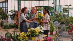 Diverse group of people, including a male florist, a female manager, and a young customer, talking and choosing yellow potted flowers together inside a bustling and vibrant garden center - Powered by Shutterstock - Get 15% off with code: PIKWIZARD15