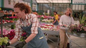 Young male employee assisting a senior female customer with her selection of potted plants at a large, bustling garden center, offering expert advice and friendly customer service - Powered by Shutterstock - Get 15% off with code: PIKWIZARD15