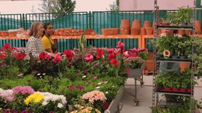 Young garden center employee helping a mature female customer select beautiful blooming flowers for her home garden, both smiling and discussing the plants while pushing a shopping cart - Powered by Shutterstock - Get 15% off with code: PIKWIZARD15