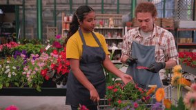 Diverse team of smiling florists in aprons choosing flowering potted plants for a customer's order, working together with a shopping cart full of flowers inside a large modern greenhouse - Powered by Shutterstock - Get 15% off with code: PIKWIZARD15