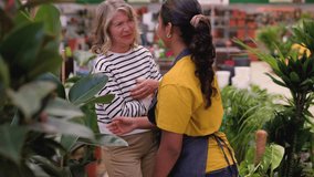 Young female garden center worker providing helpful advice to a senior woman, assisting her with choosing a houseplant from a wide selection of greenery in a bright, friendly retail environment - Powered by Shutterstock - Get 15% off with code: PIKWIZARD15