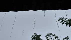 Raindrops Dripping from Corrugated Metal Roof with Leaves and Overcast Sky Background - Powered by Shutterstock - Get 15% off with code: PIKWIZARD15