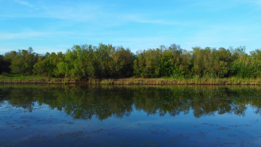Aerial View of river, Beautiful Aerial View of African Jungles forest and River, Landscape in aerial drone shot. Adove calm tranquil river in Jijel Algeria North Africa, River and green fores trees.