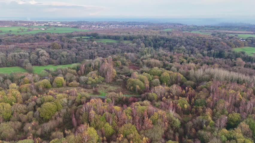 Looking down on the landscape over Alyn Valley near Wrexham as autumn turns to winter.