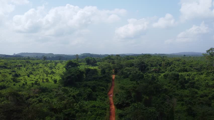 A vibrant green forest is bisected by a dirt road, creating a striking contrast. The sky above is adorned with fluffy clouds, adding depth to the natural scene.