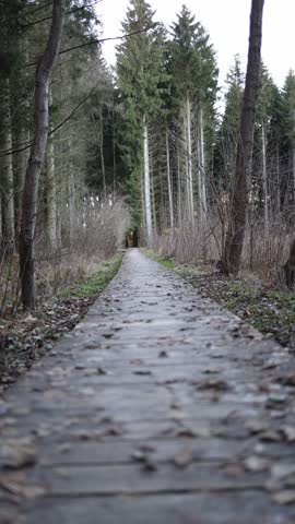 Vertical screen long wooden forest walkway stretching into the distance with scattered leaves and quiet bare trees creating a calm natural atmosphere and soft muted seasonal mood
