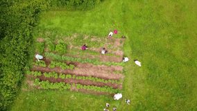 An aerial view of people tending a community garden, showcasing urban agriculture, teamwork, sustainability, and the vibrant interaction of individuals with nature in a shared space. - Powered by Shutterstock - Get 15% off with code: PIKWIZARD15