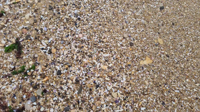 Dynamic close-up view of moving pebbles, shells, and small debris along the shoreline, capturing shifting textures, natural motion, coastal detail, and the earthy rhythm of the beach.
