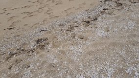 Dynamic drone view of ocean waves washing over sandy beach with visible footprints, creating natural motion, coastal textures and energetic seaside atmosphere. - Powered by Shutterstock - Get 15% off with code: PIKWIZARD15