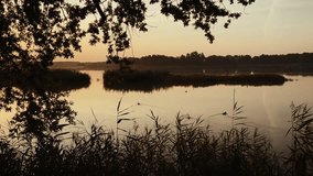 Peaceful Sunrise over a Picturesque Lake with Ducks Swimming Among Reeds in a Natural Quiet landscape illuminated by gentle morning light - Powered by Shutterstock - Get 15% off with code: PIKWIZARD15