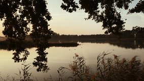 Peaceful Sunrise over a Picturesque Lake with Ducks Swimming Among Reeds in a Natural Quiet landscape illuminated by gentle morning light - Powered by Shutterstock - Get 15% off with code: PIKWIZARD15