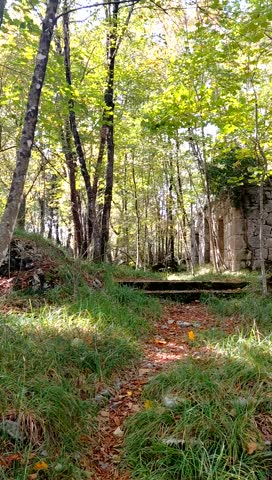 ​A vertical video clip capturing the atmospheric ruins of a stone building, likely a former karaula border guardhouse, in the sun-dappled forest near Kastav, Croatia