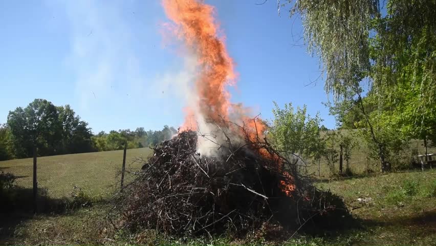 Large burning pile of dry branches during seasonal yard cleanup, with bright flames and smoke against clear blue sky