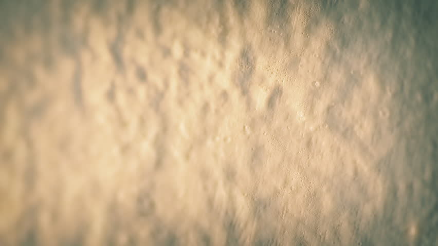 Moth Lands On Wall And Flies Away