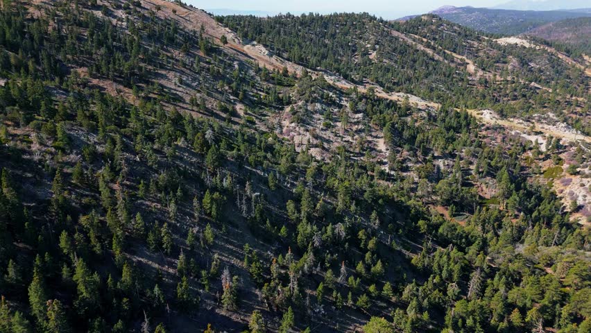 Aerial View of Mountain Forest Slopes in Big Bear