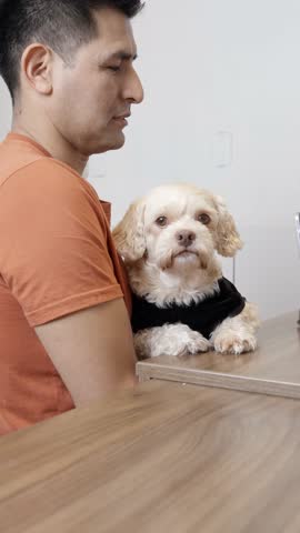 Pet owner holding his poodle mix dog on his lap at the front desk of a veterinary clinic. A receptionist is working on a tablet