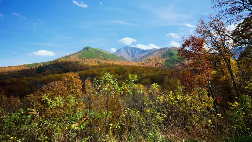 Peaceful view of the Great Smoky Mountains with soft clouds over the ridge. Distant blue mountains blend with the light blue sky