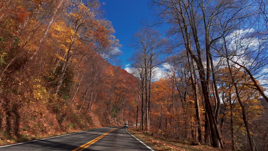 scenic drive through a vibrant autumn forest, with colorful fall foliage surrounding a winding mountain road. Tall trees in shades of red, orange, and yellow line roadway. 