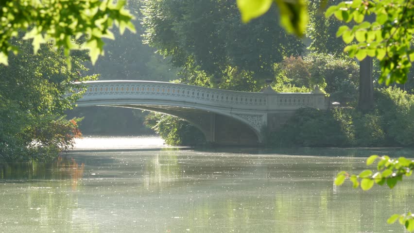 New York City Central Park nature oasis. Bow Bridge and lake in summer day, United States. Pond water and greenery in morning light. Autumn fall leaves and Manhattan architecture landmark of NYC, USA.
