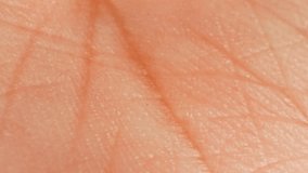 Every groove and ridge in this detailed palm shot highlights the science of human biology, the accumulation of unique experiences, the distinctiveness of individuality, and the imprint of identity.
 - Powered by Shutterstock - Get 15% off with code: PIKWIZARD15