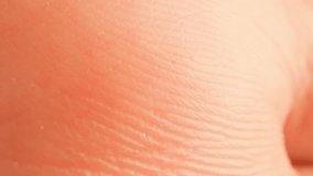 A detailed view of palm ridges demonstrates how the skin’s biology provides a foundation for individuality, while the patterns themselves tell a story of personal experience and deep-rooted identity.
 - Powered by Shutterstock - Get 15% off with code: PIKWIZARD15