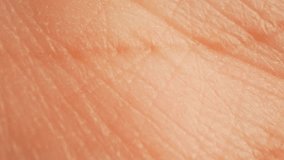 A close-up of palm skin showcases intricate grooves and textures, emphasizing how each person’s individuality and identity are shaped by both genetic biology and the journey of life’s experiences.
 - Powered by Shutterstock - Get 15% off with code: PIKWIZARD15