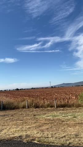 Driving along the road beside the vast fields