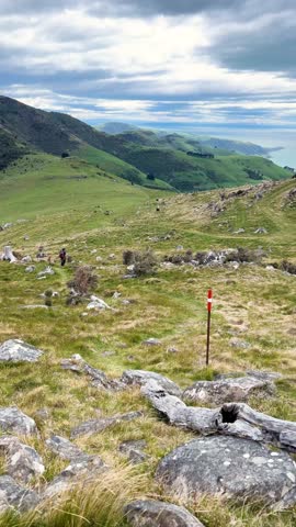 Hiker admiring lush hills in Montgomery Peak Scenic Reserve, New Zealand