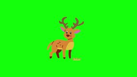 A gentle cartoon deer lowers its head and eats grass on green screen — perfect for nature overlays or animal education clips. - Powered by Shutterstock - Get 15% off with code: PIKWIZARD15