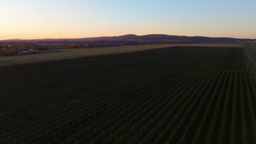 Aerial drone shot of a bright orange sunset over a rural village and wide orchard fields, with long shadows stretching across the landscape and distant hills on the horizon.