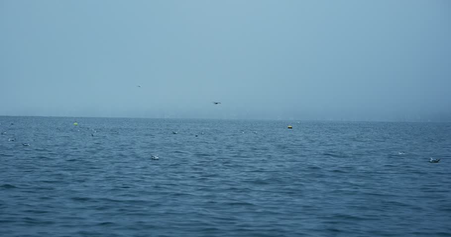 Moody footage of a vast lake expanse on a dreary, gloomy November evening with sleet. Dreary weather, real time, seagulls and buoys on the water, no people