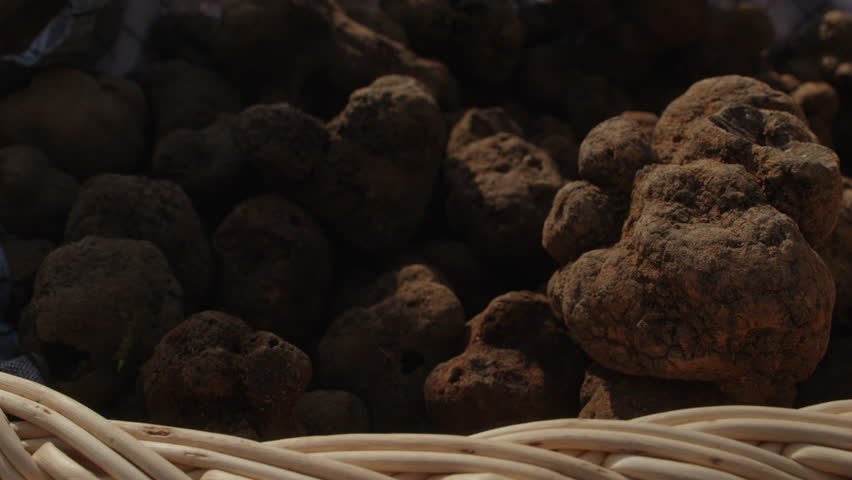 Explore the rich flavors of gourmet organic truffle spores today