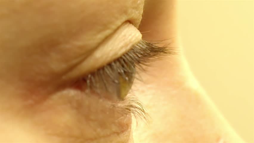 Extreme Close-up: Hazel Eye Iris and Pupil, Side View
